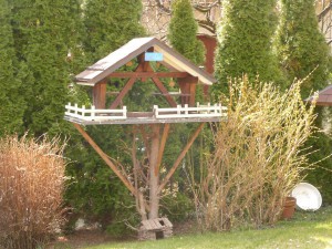 Cabane à oiseaux 