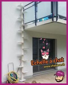 Echelle-a-chat.